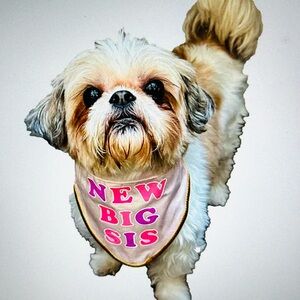 New Big Sis Pet Bandana